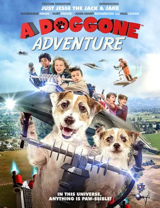 狗狗大侦探 A Doggone Adventure (2018)