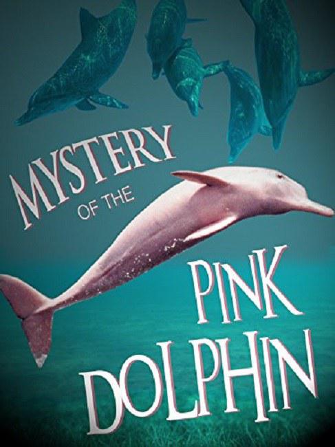 粉色海豚之谜 The Mystery of the Pink Dolphin (2015)