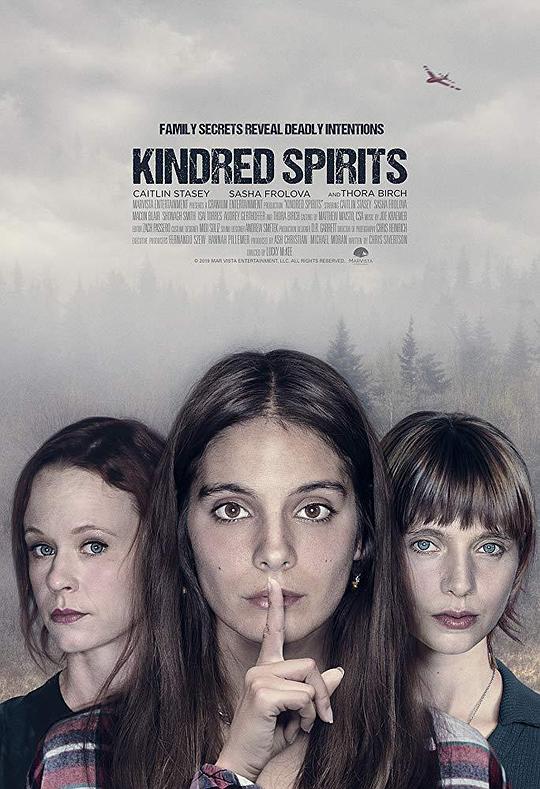 灵魂相锲 Kindred Spirits (2019)