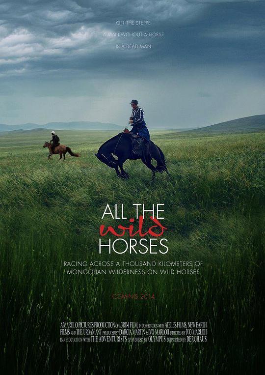 All the Wild Horses  (2017)
