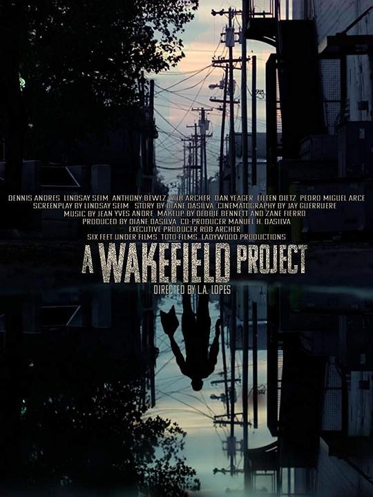 尾流场计划 A Wakefield Project (2019)