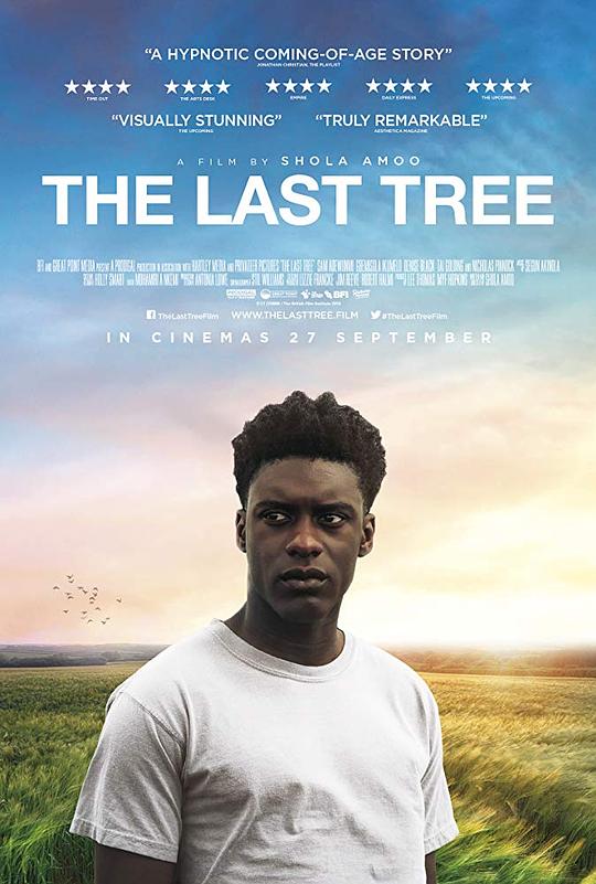 最后一棵树 The Last Tree (2019)