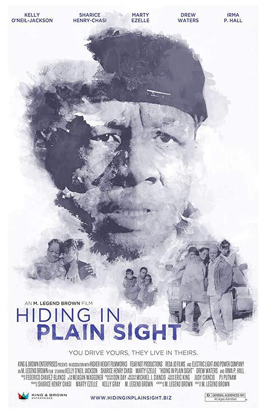 Hiding in Plain Sight  (2012)