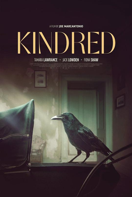 亲属关系 Kindred (2020)