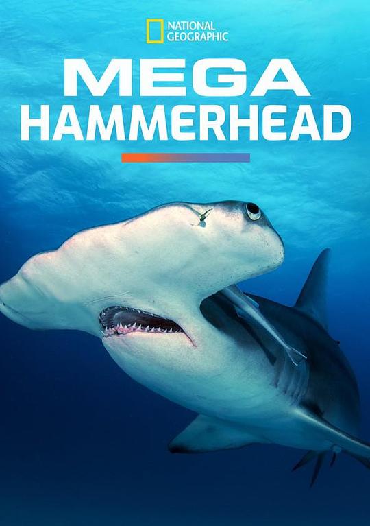 Mega Hammerhead  (2016)