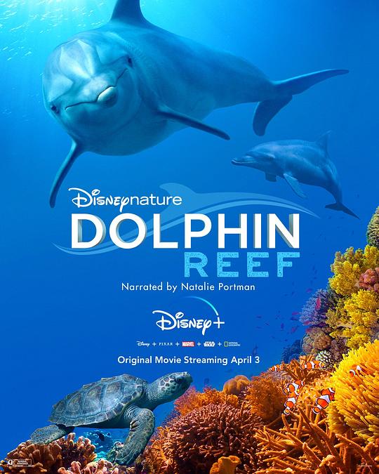 海豚礁 Dolphin Reef (2020)