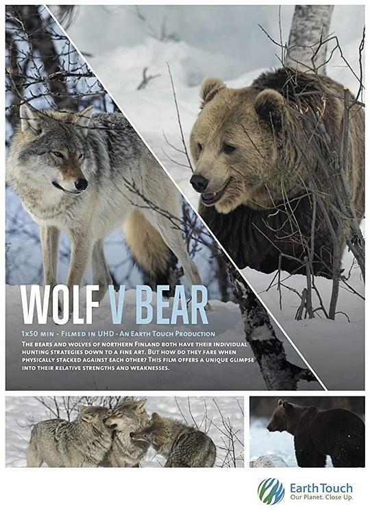 Wolf vs Bear  (2018)