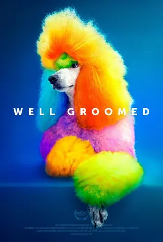 精心打扮 Well Groomed (2019)