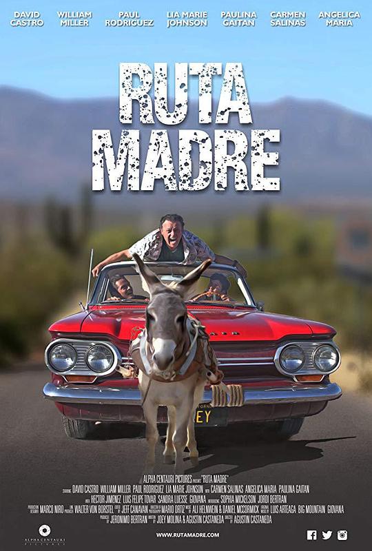 寻根问祖 Ruta Madre (2019)