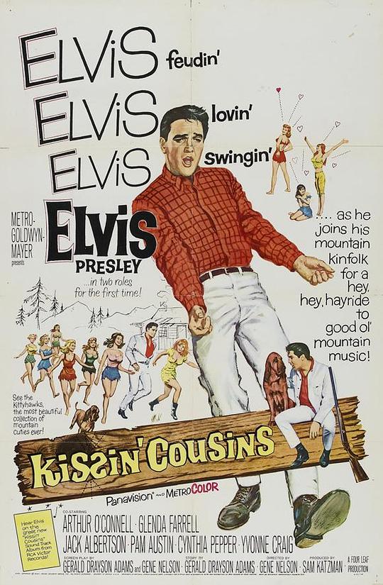 亲亲表兄妹 Kissin' Cousins (1964)