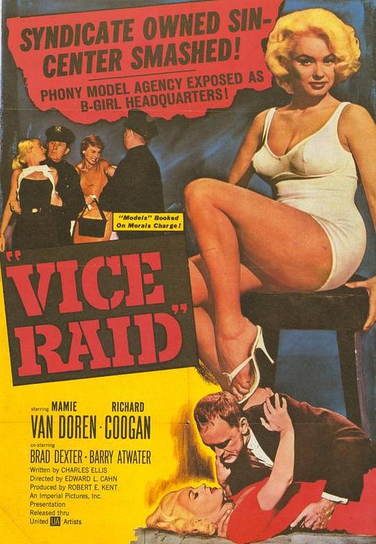 袭击罪 Vice Raid (1960)