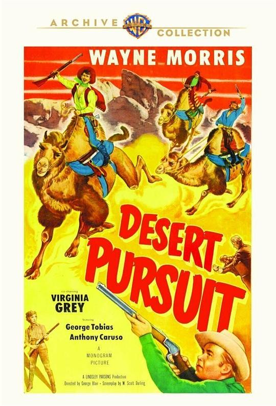 沙漠追逐 Desert Pursuit (1952)