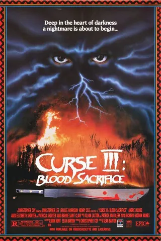 诅咒3：血祭 Curse III: Blood Sacrifice (1991)