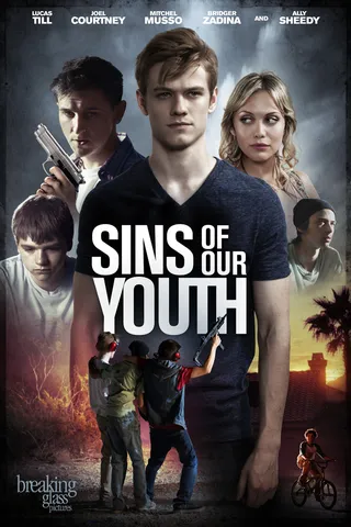 青春的罪孽 Sins of Our Youth (2014)