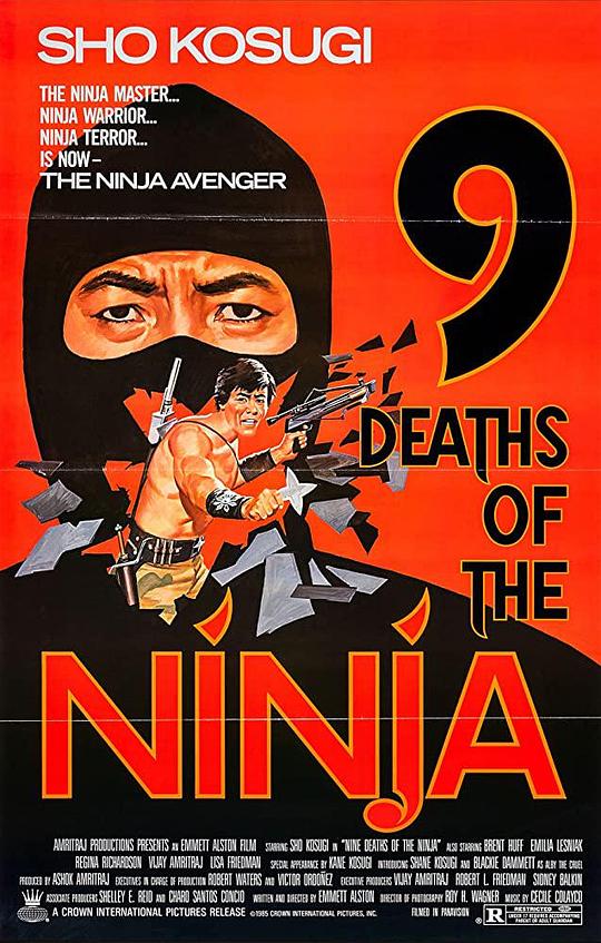 九条命忍者 Nine Deaths of the Ninja (1985)