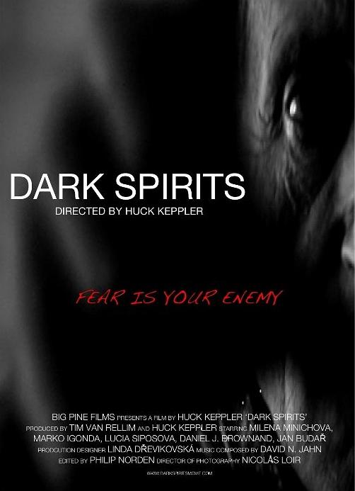 暗灵 Dark Spirits (2008)