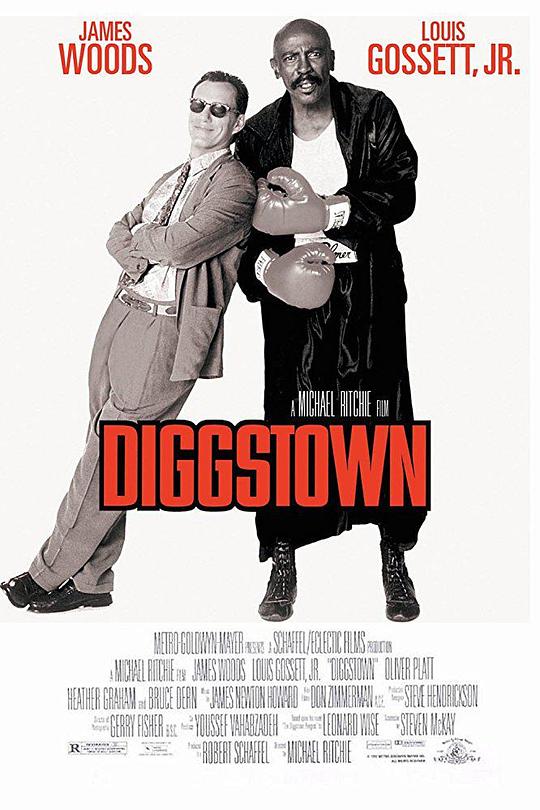 英雄本诈 Diggstown (1992)