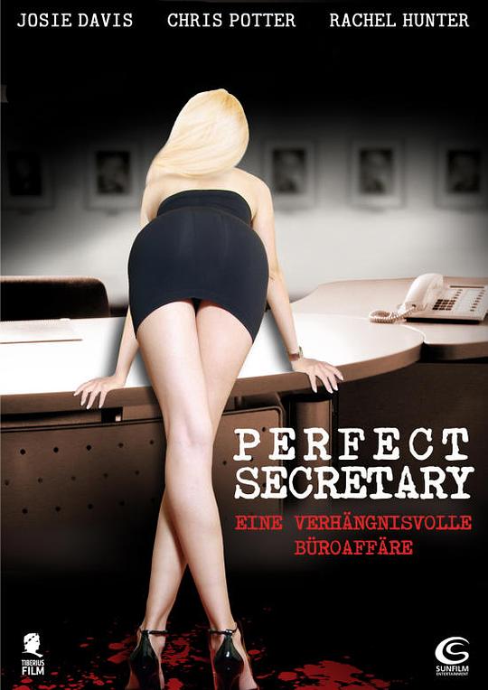 完美的助理 The Perfect Assistant (2008)