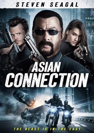 亚洲犯罪网 The Asian Connection (2016)