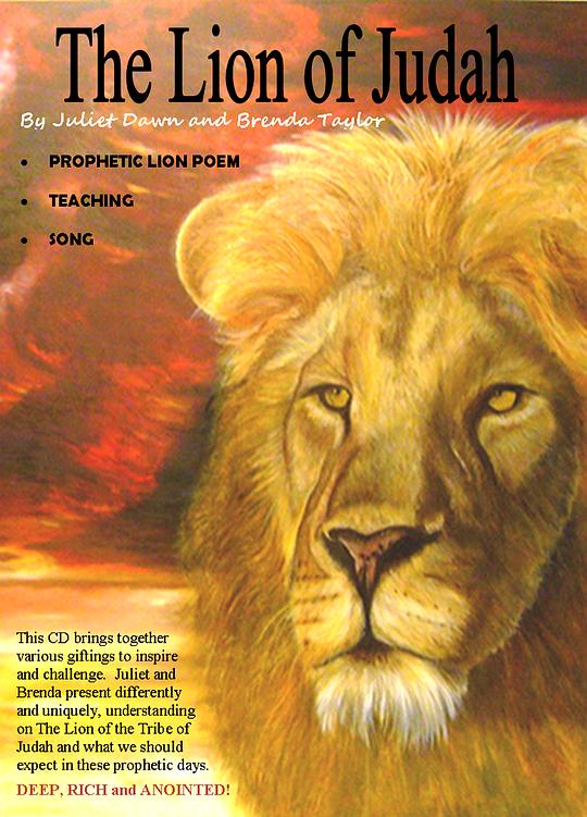 犹太狮子 The Lion of Judah (2011)