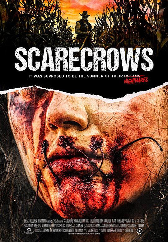 稻草人 Scarecrows (2017)
