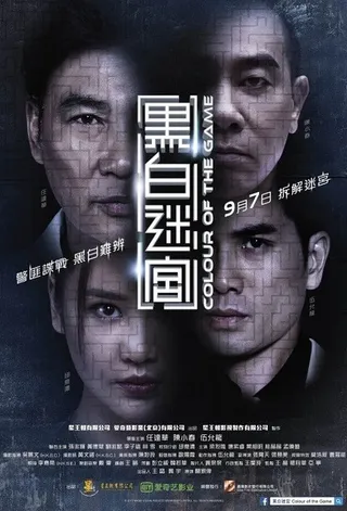 黑白迷宫  (2017)