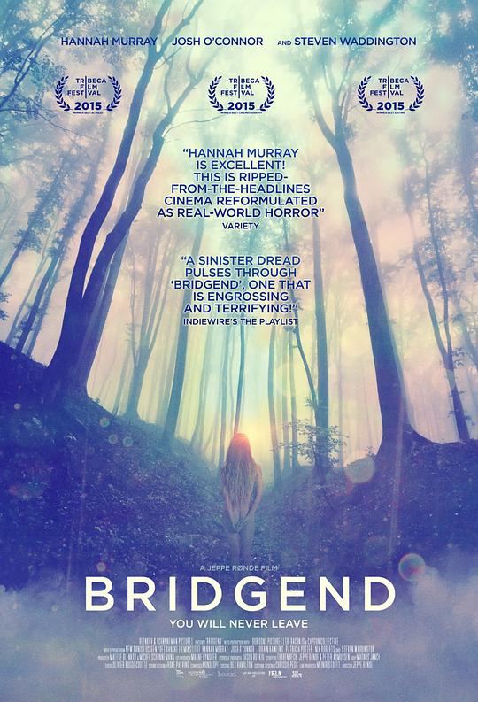 自杀郡 Bridgend (2015)