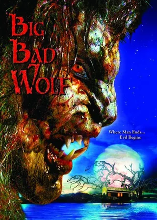 恶狼游戏 Big Bad Wolf (2006)