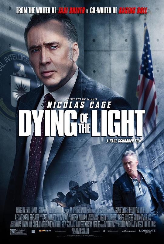 光逝 Dying of the Light (2014)