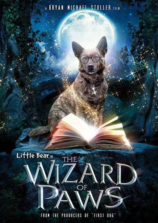 家有魔犬 The Amazing Wizard of Paws (2015)