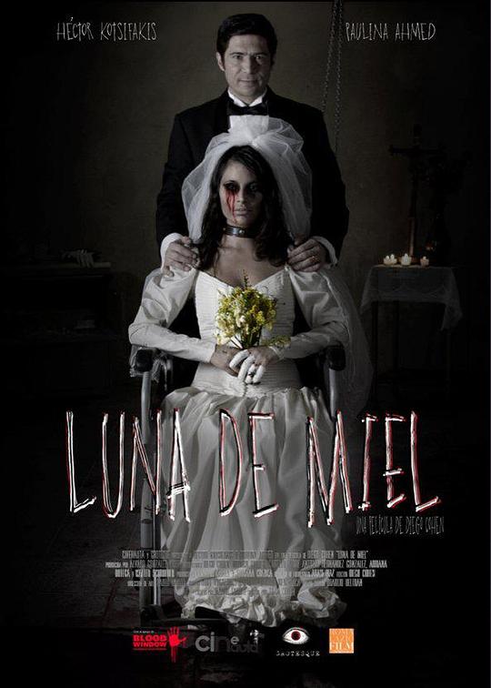 蜜月旅行 Luna de Miel (2015)