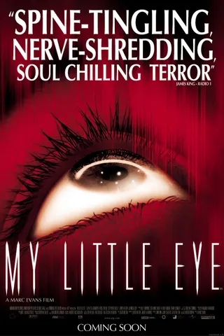 鹰眼下的危房 My Little Eye (2002)