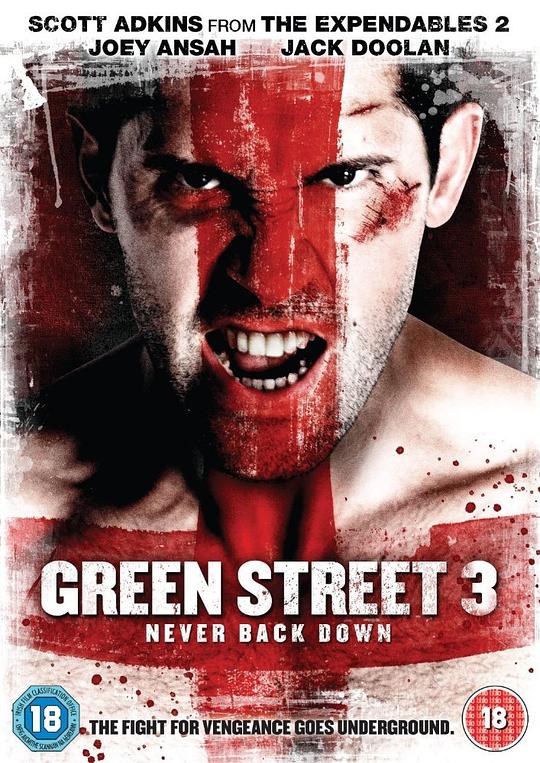 足球流氓3 Green Street 3: Never Back Down (2013)