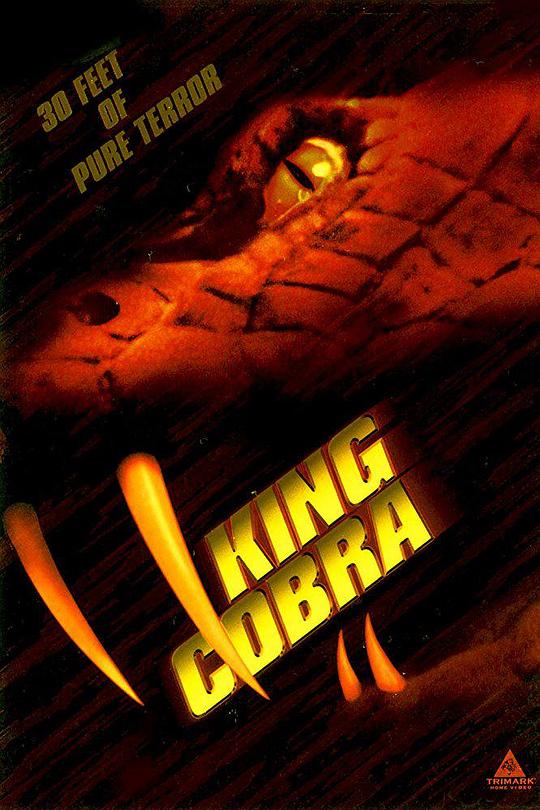 眼镜王蛇 King Cobra (1999)