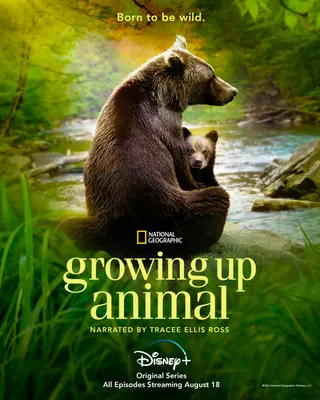 动物成长 Growing Up Animal (2021)
