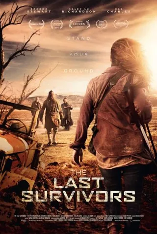 最后的幸存者 The Last Survivors (2014)