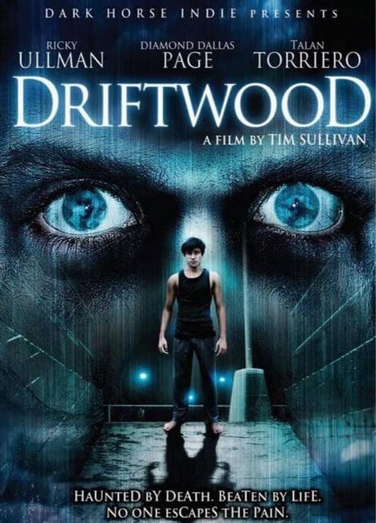 地狱管教所 Driftwood (2006)