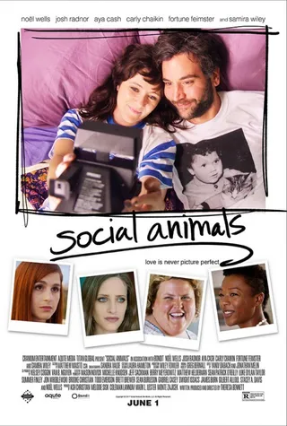 社交动物 Social Animals (2018)
