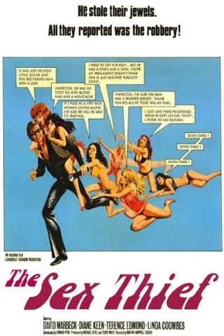 采花贼 The Sex Thief (1973)