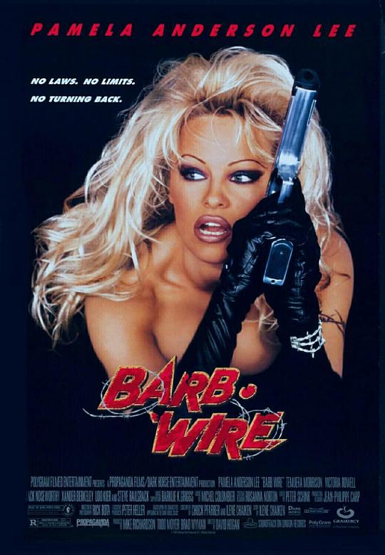 越空追击 Barb Wire (1996)