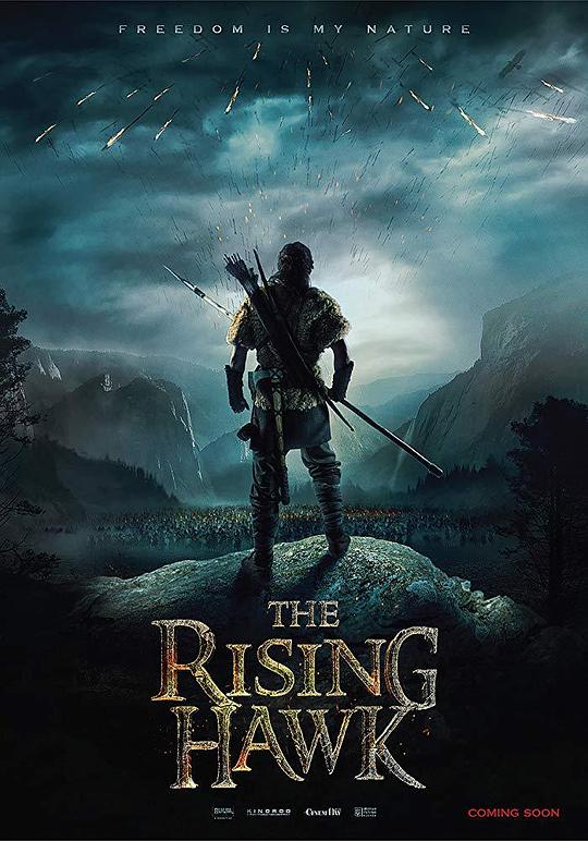 驯鹰者的崛起 The Rising Hawk (2019)