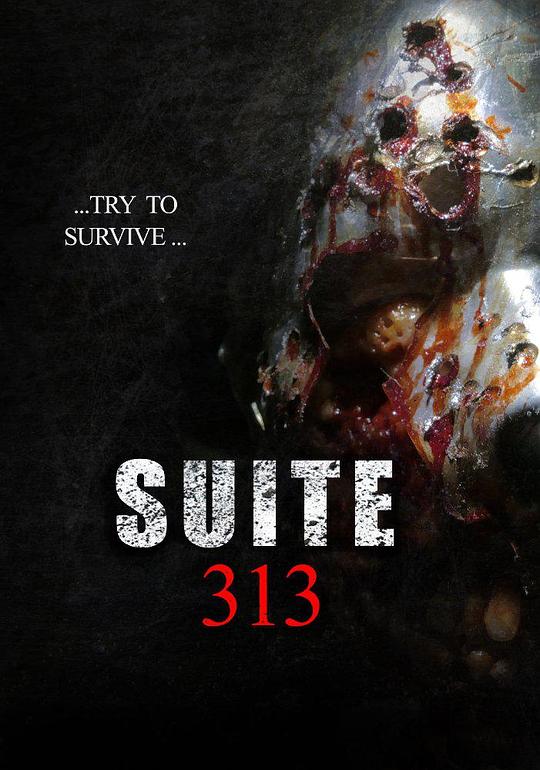 313套房 Suite 313 (2017)