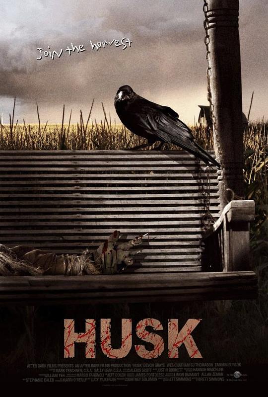 外壳 Husk (2011)