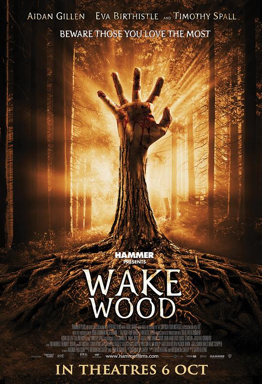 醒木 Wake Wood (2009)