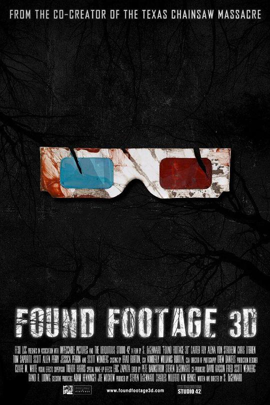 伪纪录片3D Found Footage 3D (2016)