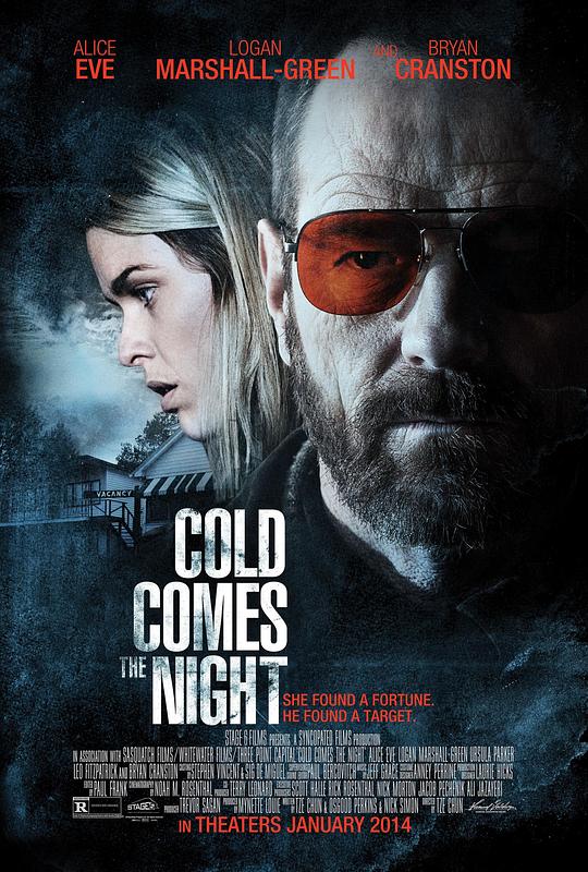 汽车旅馆疯劫案 Cold Comes the Night (2013)