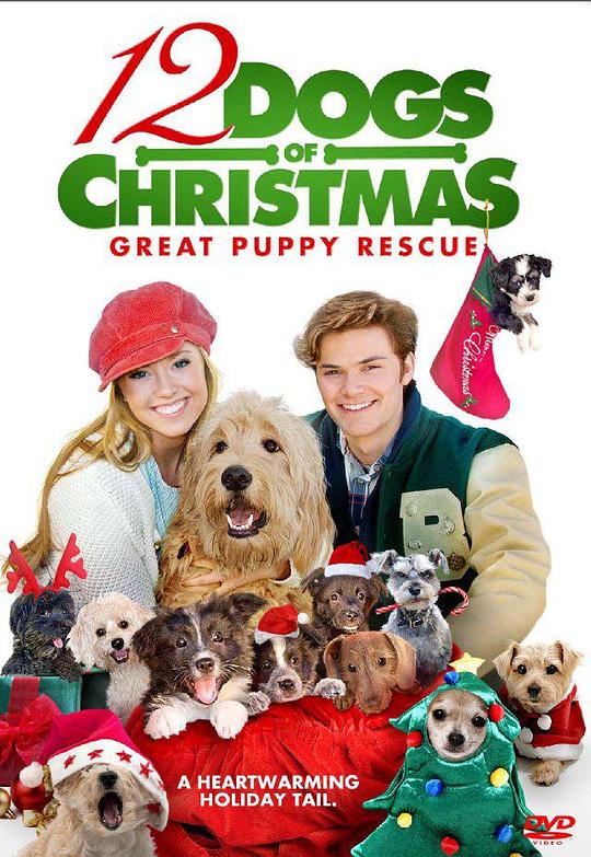 圣诞节的十二只狗狗 12 Dogs of Christmas: Great Puppy Rescue (2012)