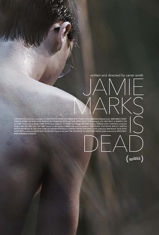 死后的关怀 Jamie Marks Is Dead (2014)