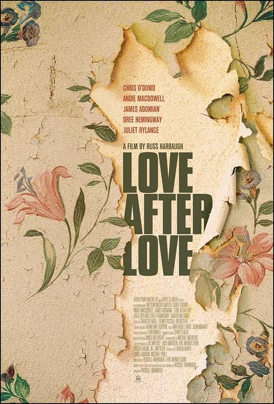 爱在爱之后 Love After Love (2017)