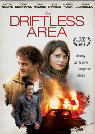 无目标地区 The Driftless Area (2015)